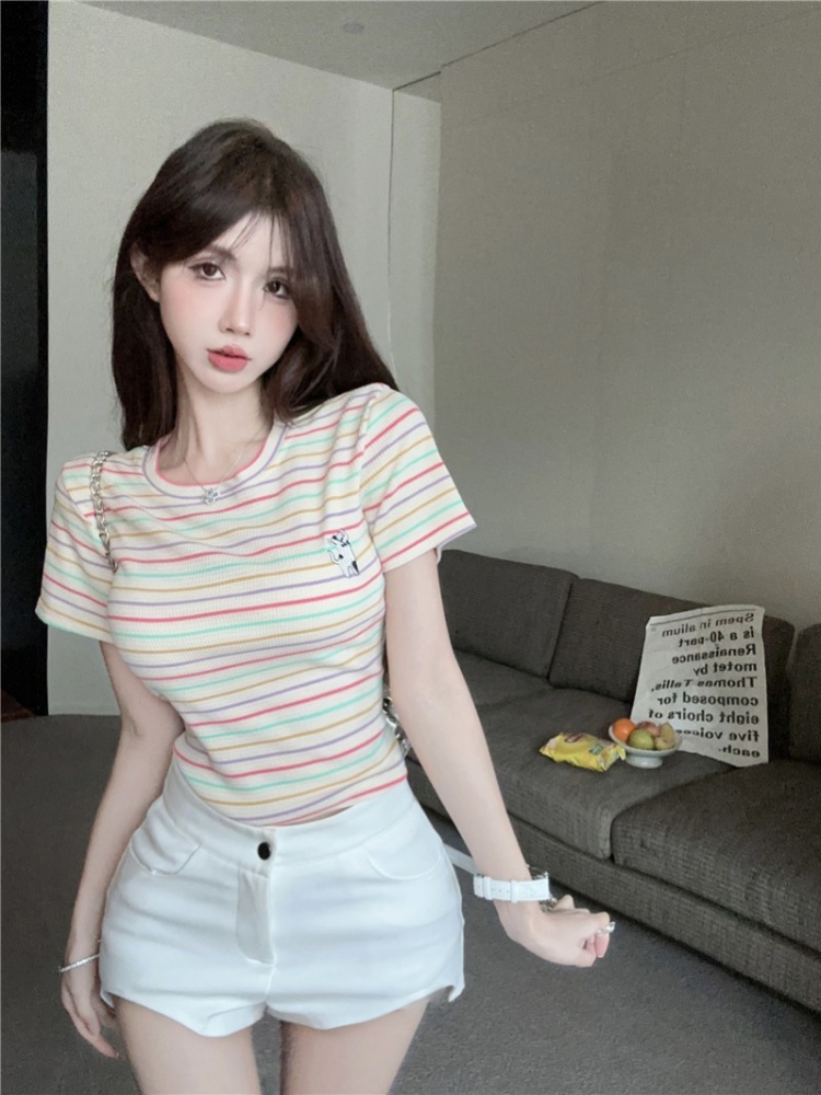 Rainbow small fellow colors T-shirt short slim tops