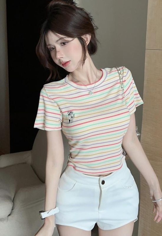 Rainbow small fellow colors T-shirt short slim tops