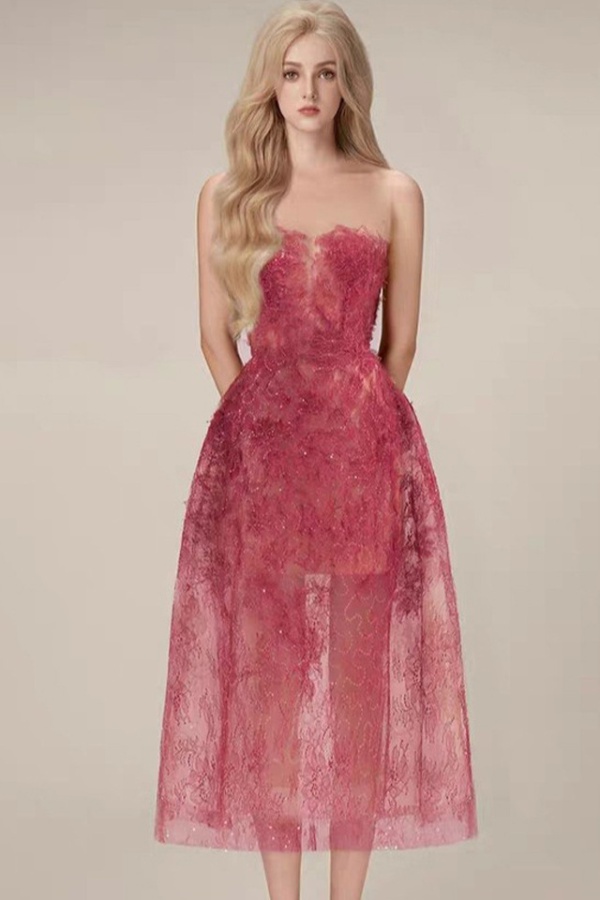 Perspective spring lace sexy chiffon niche sequins dress