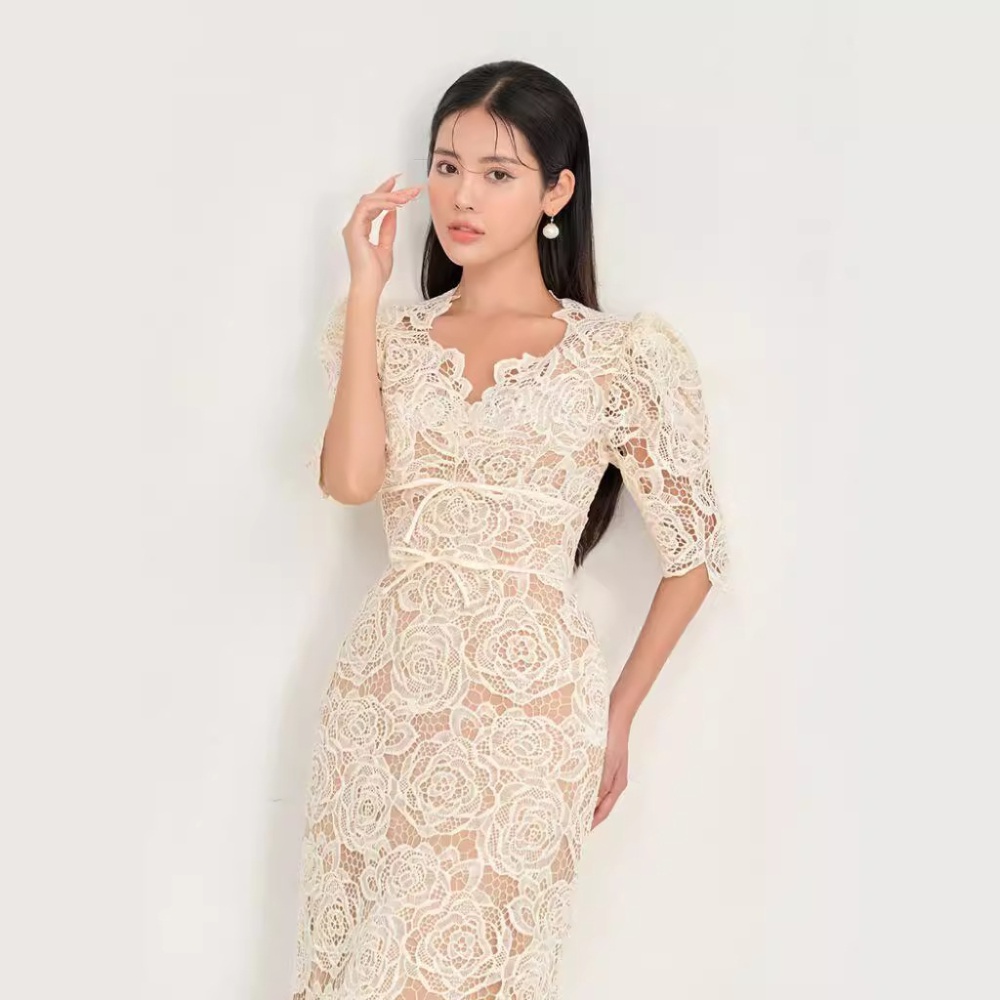 Short sleeve niche embroidery ladies slim lace dress