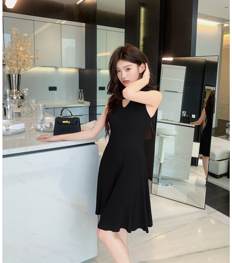 Hepburn style V-neck knitted dress slim small fellow T-back