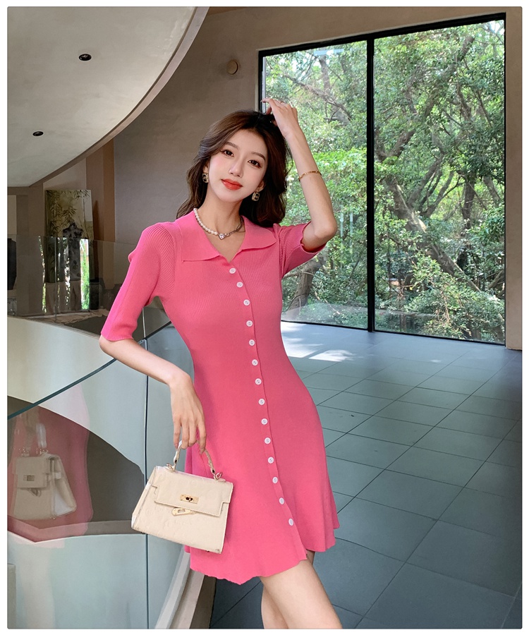 France style light small fellow Casual summer dress