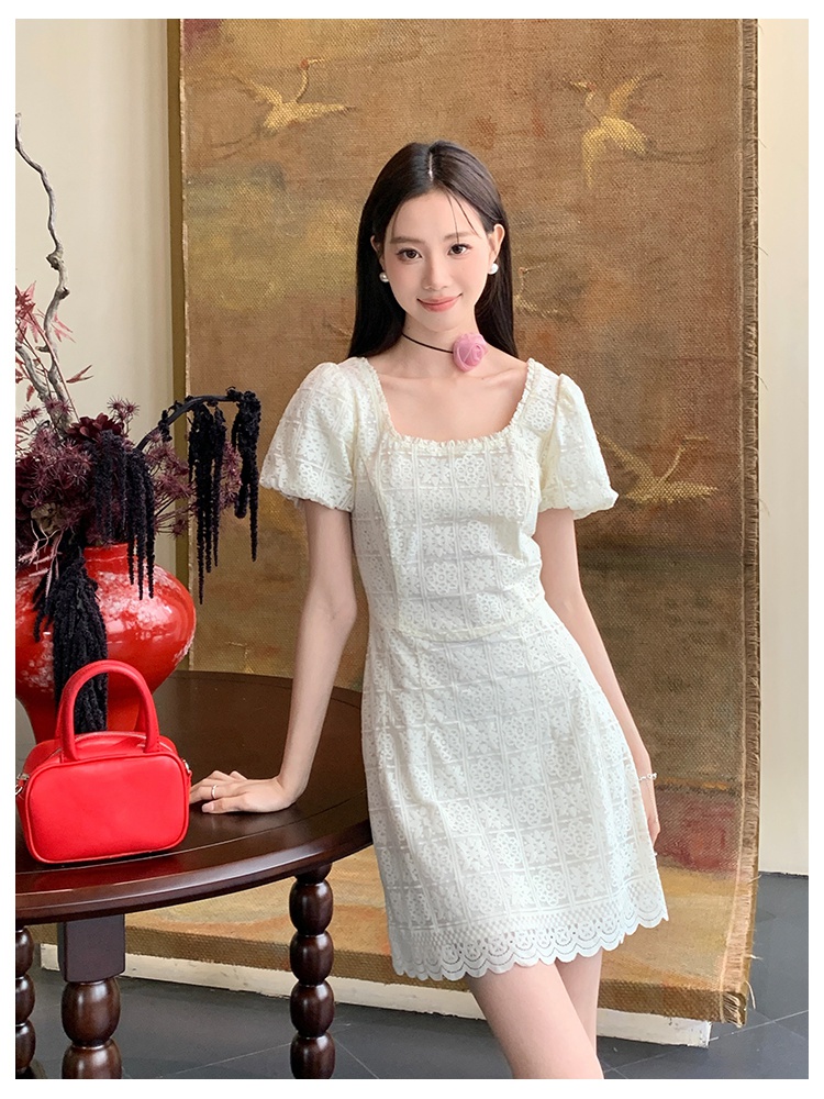 Lace pure France style elegant dress for women