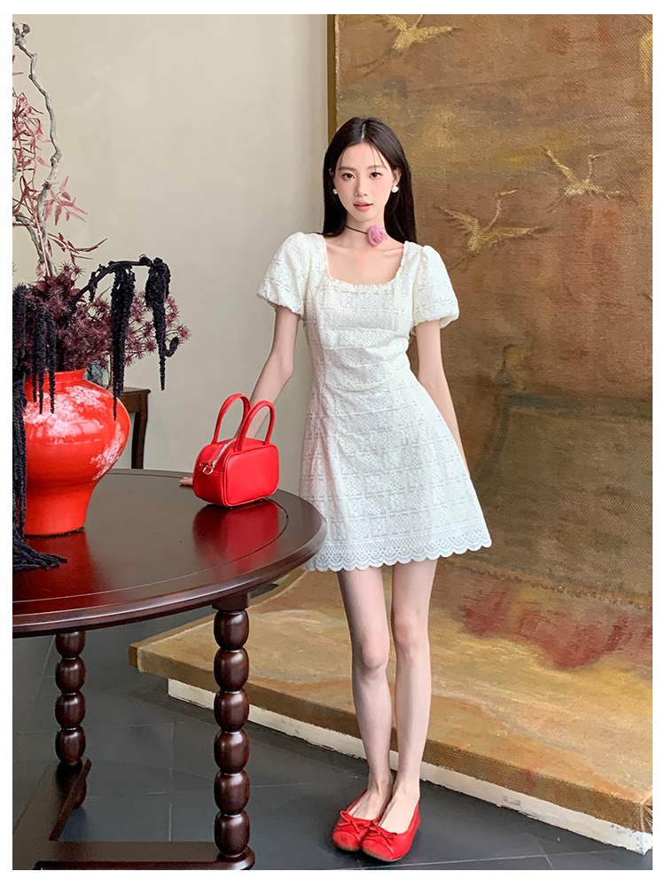 Lace pure France style elegant dress for women