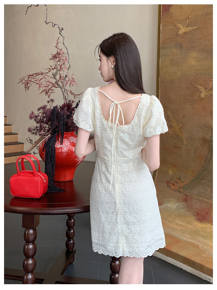 Lace pure France style elegant dress for women