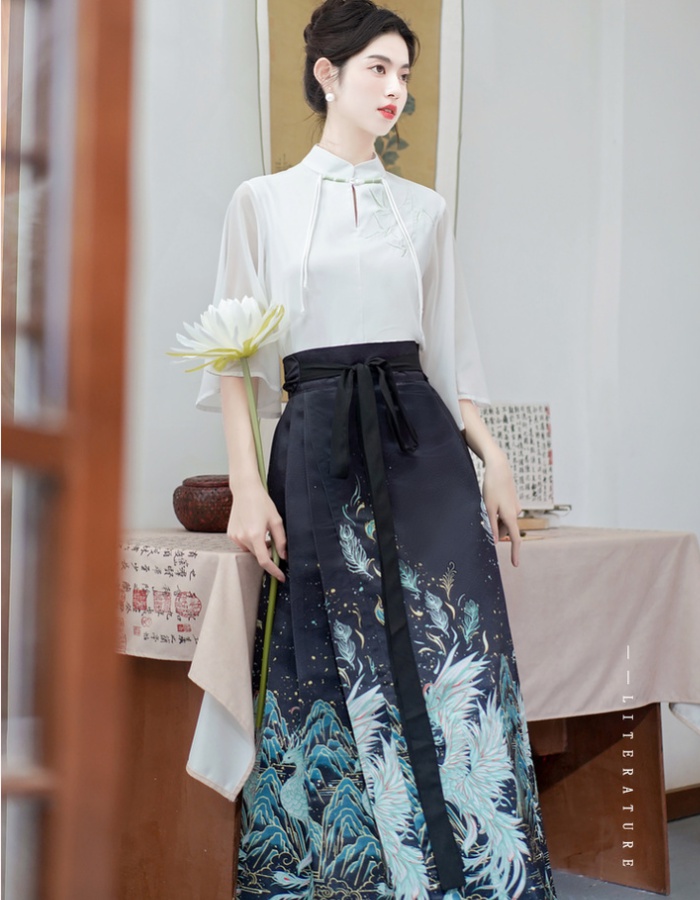 Han clothing colors shirt embroidery horse-face skirt