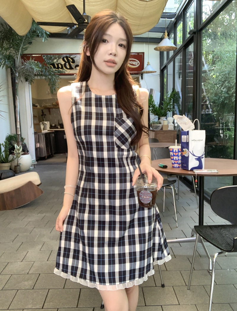 A-line elegant pinched waist double color dress