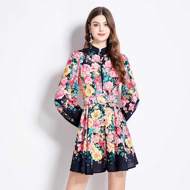 Cstand collar retro spring and summer printing dress