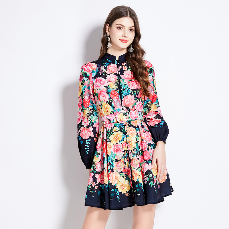 Cstand collar retro spring and summer printing dress