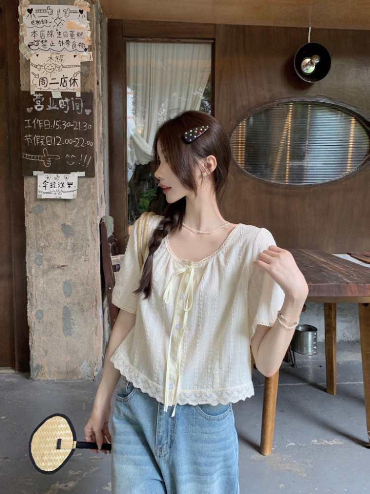 Embroidery loose small shirt frenum tops for women