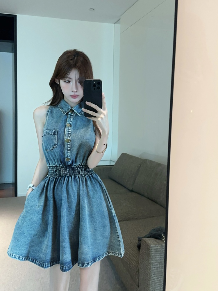 Retro slim denim A-line single-breasted dress for women