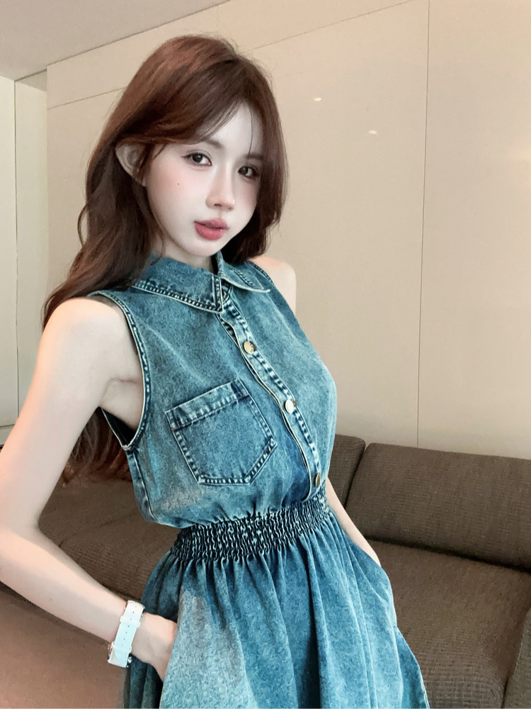 Retro slim denim A-line single-breasted dress for women