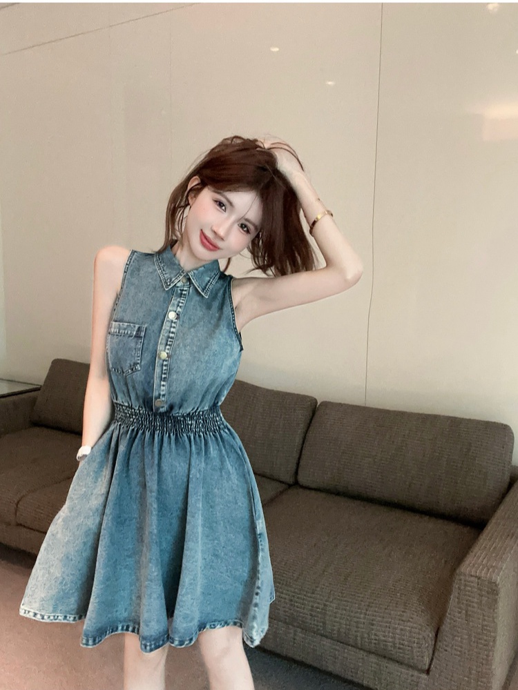 Retro slim denim A-line single-breasted dress for women