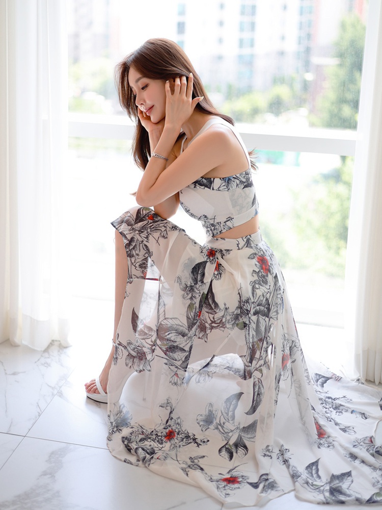 Temperament summer long dress chiffon dress