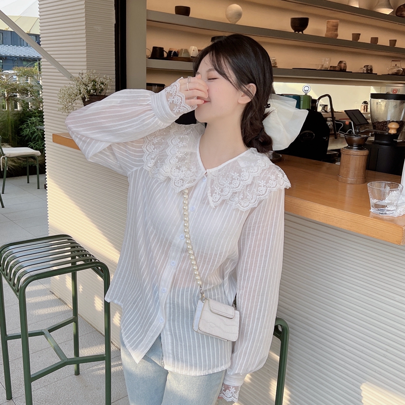 Lace fat spring tops doll collar beautiful autumn shirt