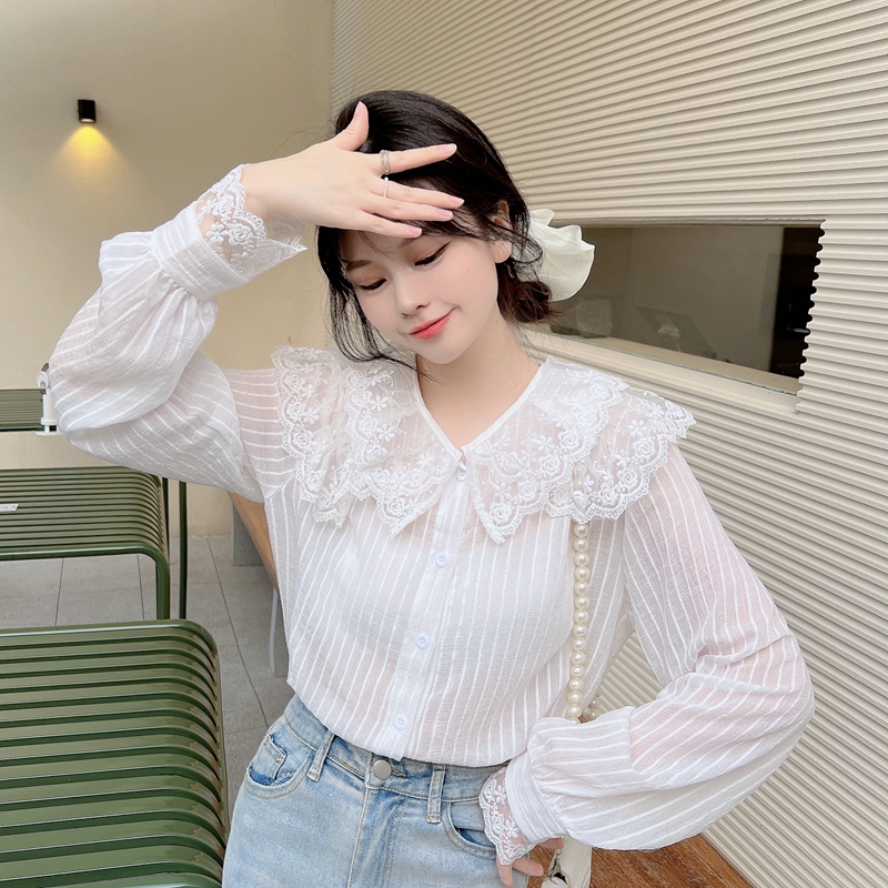 Lace fat spring tops doll collar beautiful autumn shirt