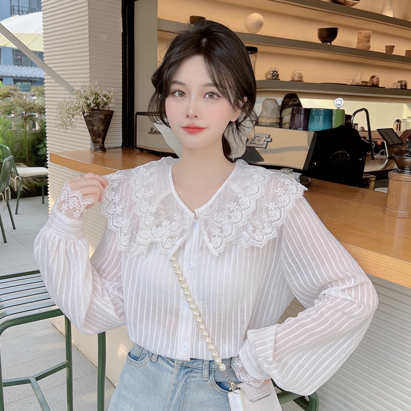 Lace fat spring tops doll collar beautiful autumn shirt