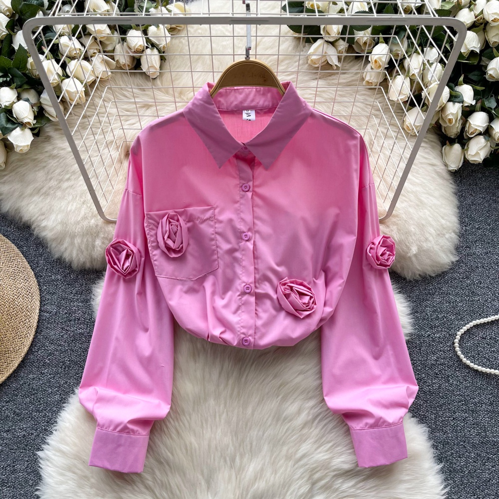 Long sleeve rose all-match tops unique slim shirt for women