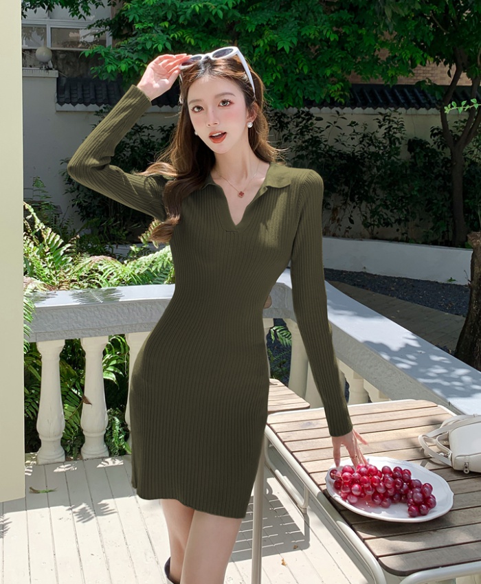 Package hip long sleeve knitted dress for women