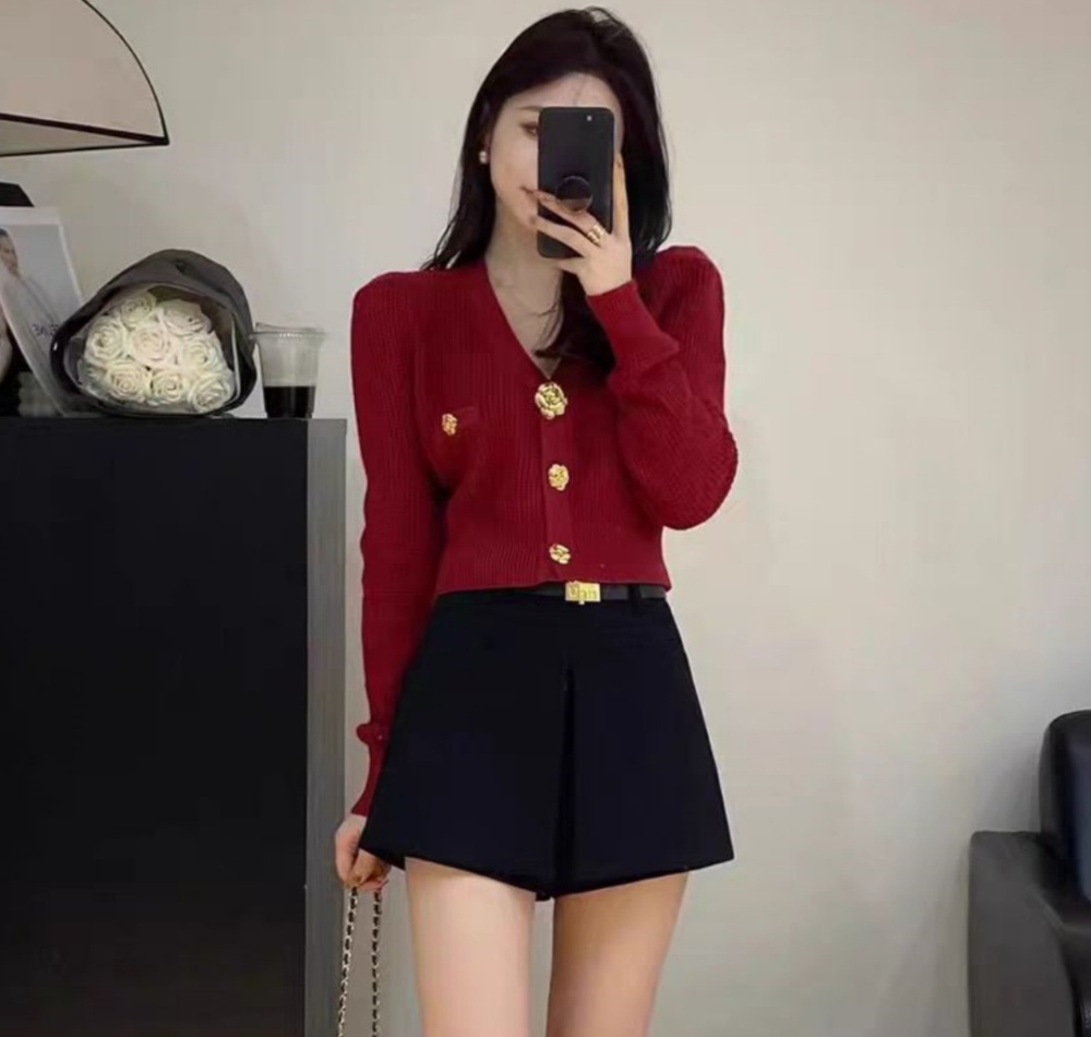 Niche autumn and winter coat puff sleeve sweater