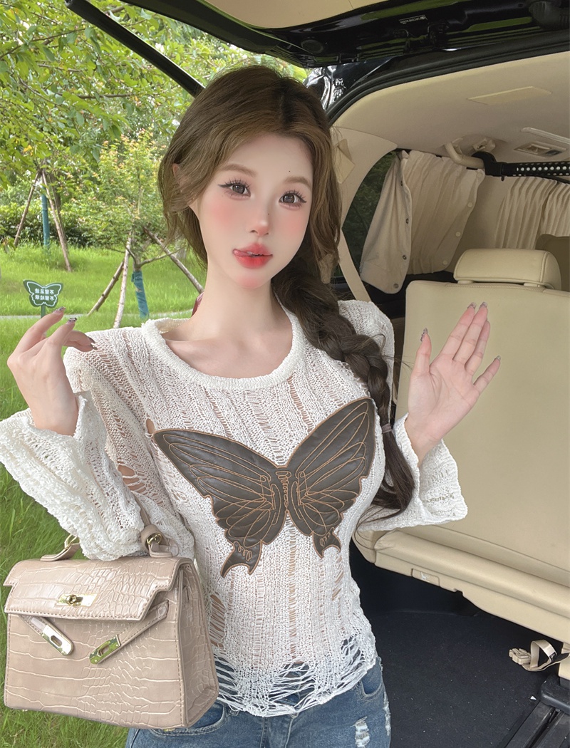 Hollow butterfly smock long sleeve enticement tops for women