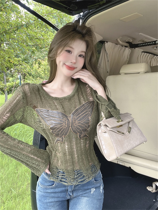 Hollow butterfly smock long sleeve enticement tops for women