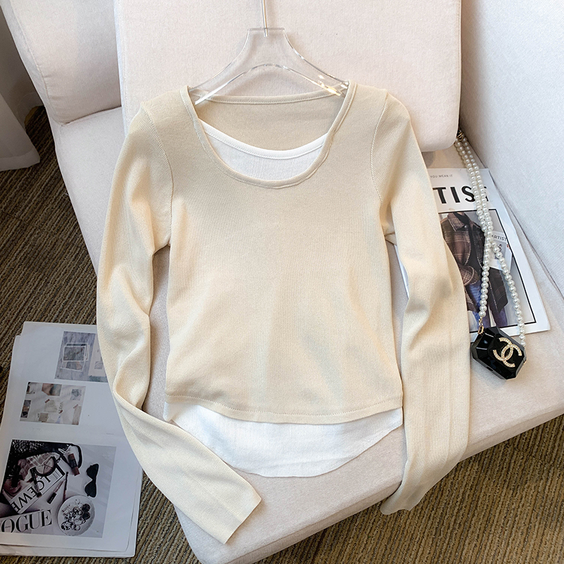 Autumn Korean style T-shirt Pseudo-two tops for women