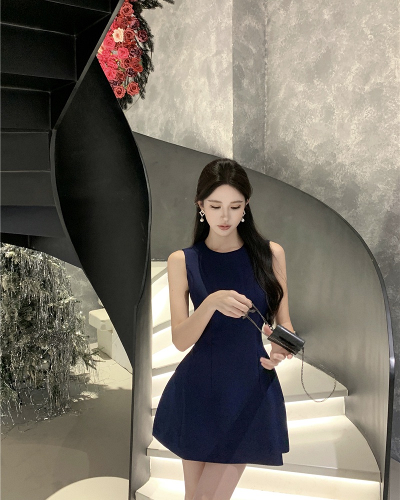 Round neck sleeveless dress temperament dress for women