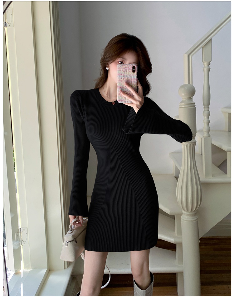 Inside the ride dress sweater dress for women