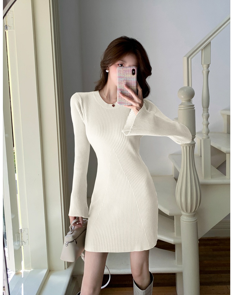 Inside the ride dress sweater dress for women