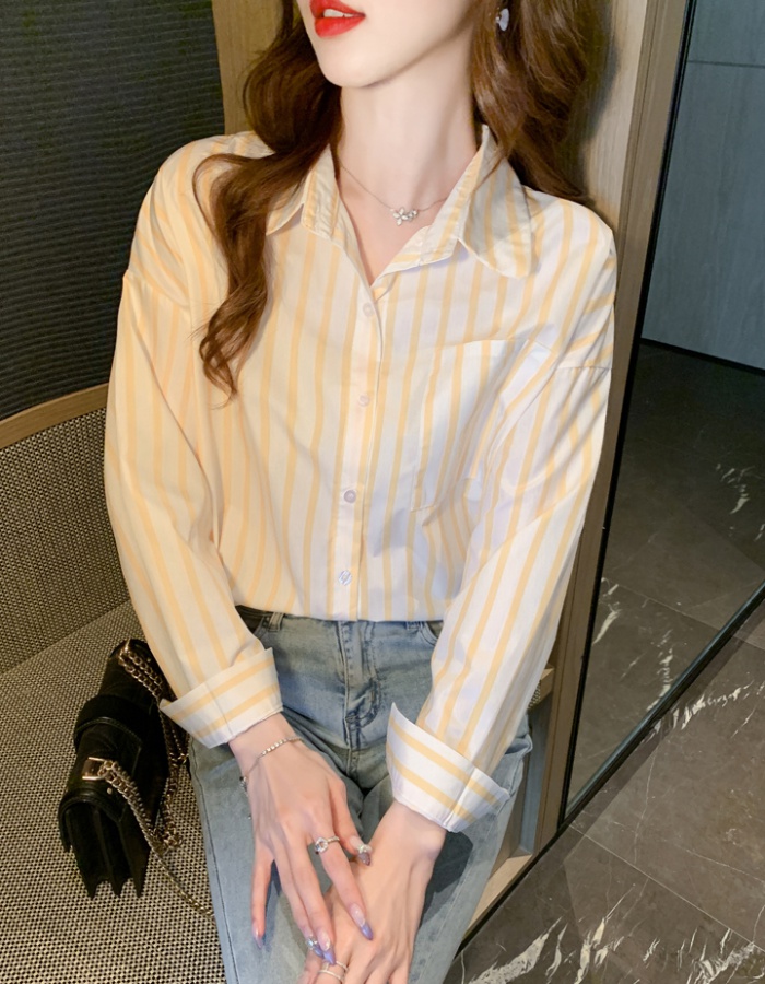 Loose all-match niche tops stripe autumn shirt for women