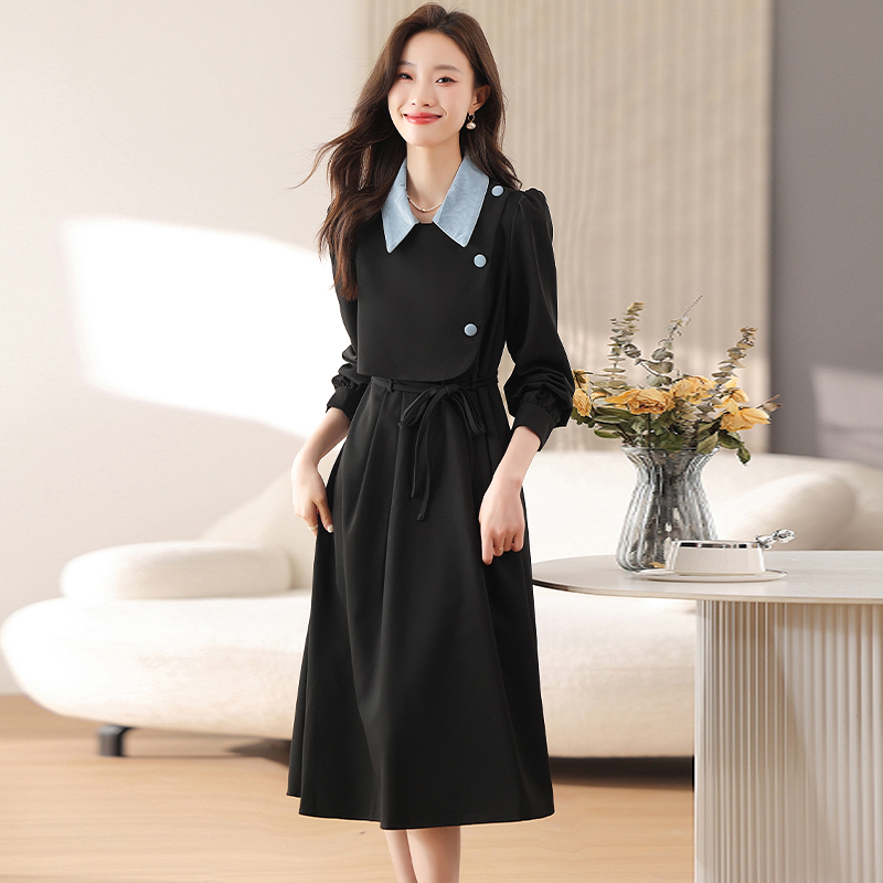 Pseudo-two spring autumn winter dress for women