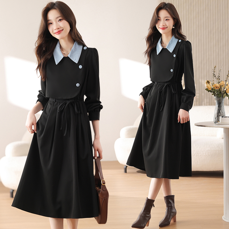 Pseudo-two spring autumn winter dress for women