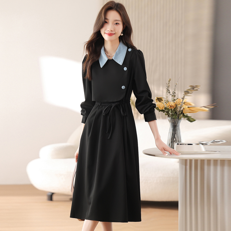 Pseudo-two spring autumn winter dress for women