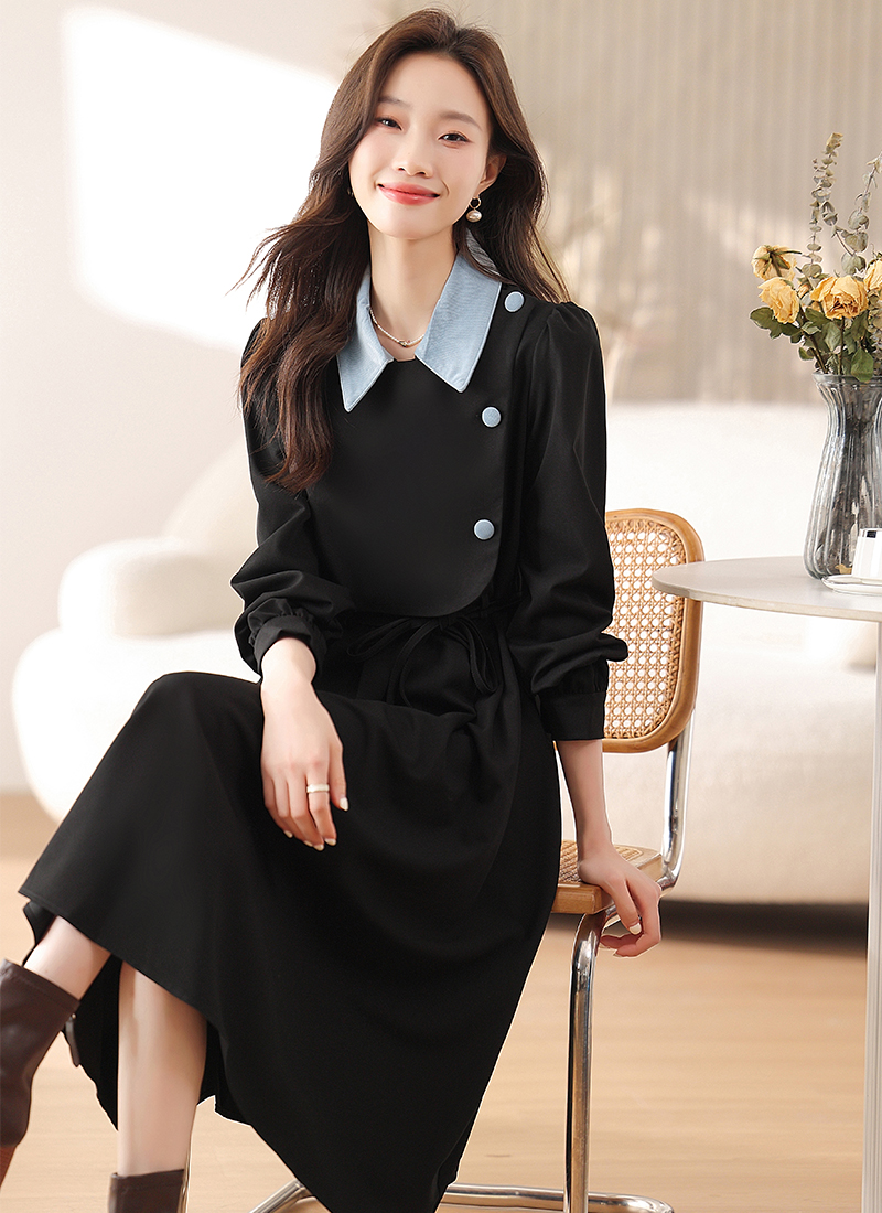 Pseudo-two spring autumn winter dress for women