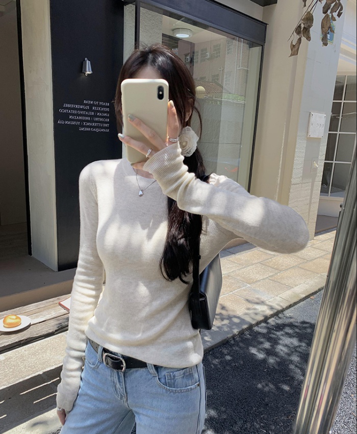 Spring and autumn slim sweater tender tops for women