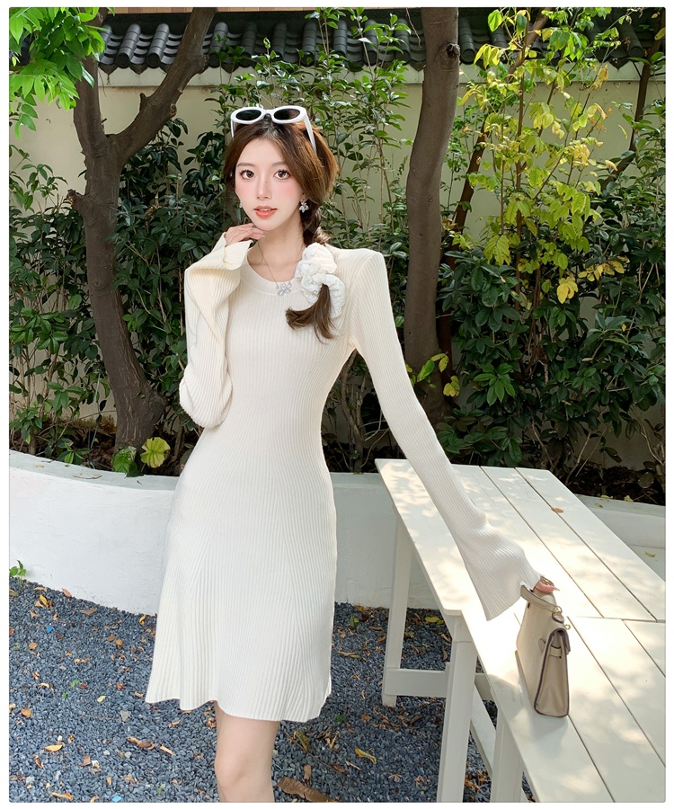 Korean style knitted T-back slim dress for women