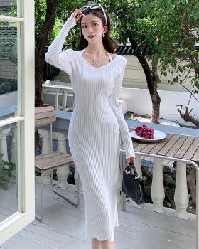 Tender dress enticement long dress for women