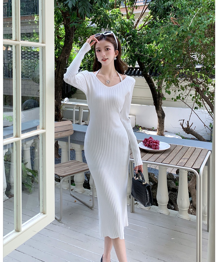 Tender dress enticement long dress for women