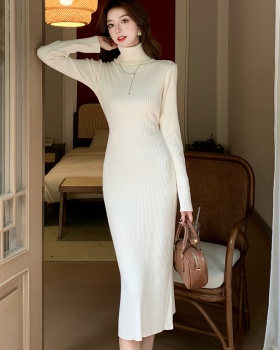 Autumn and winter long dress package hip dress for women