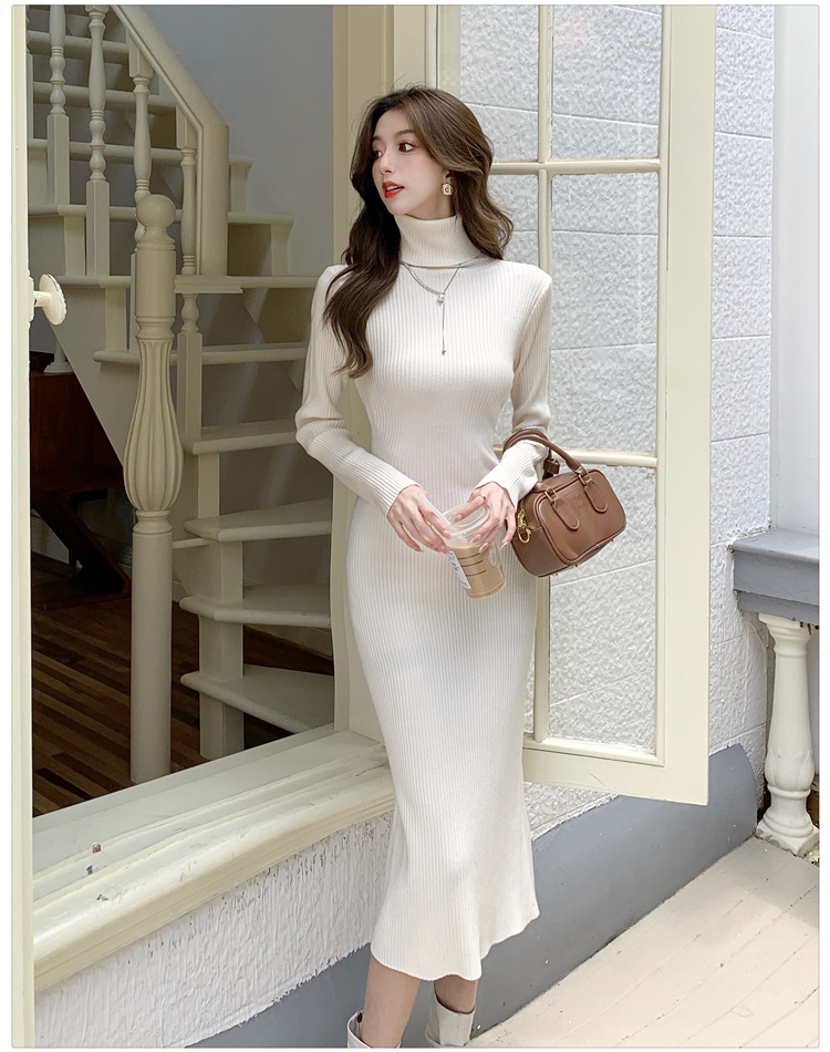 Autumn and winter long dress package hip dress for women