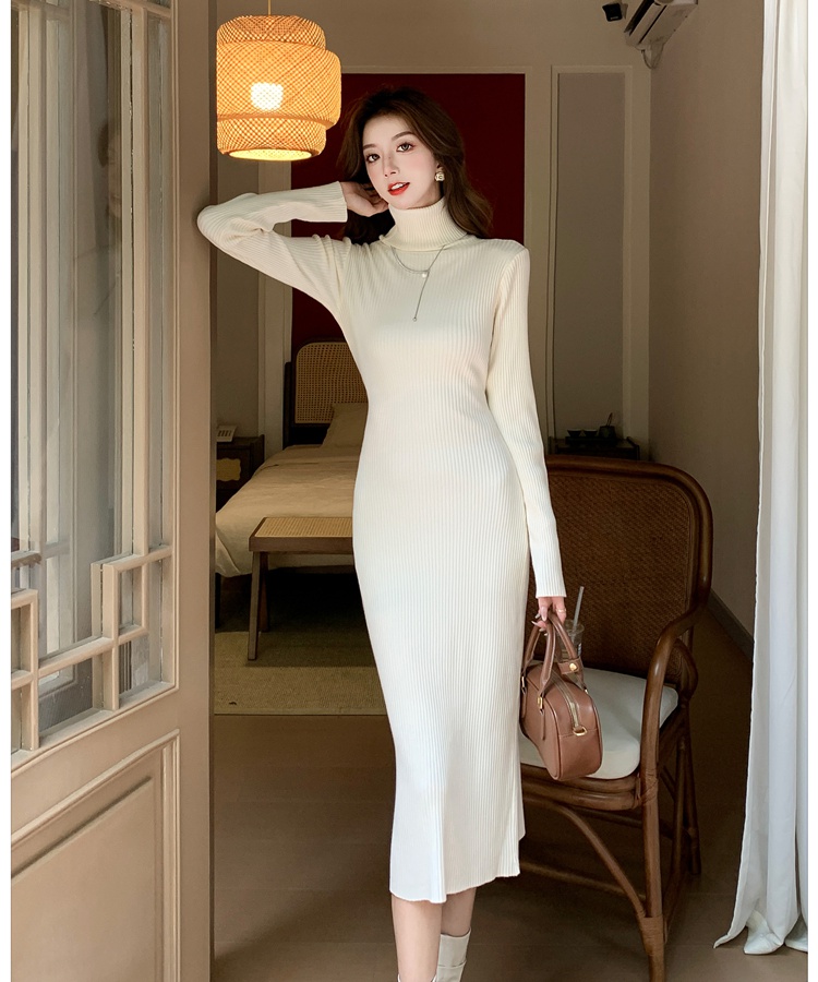 Autumn and winter long dress package hip dress for women