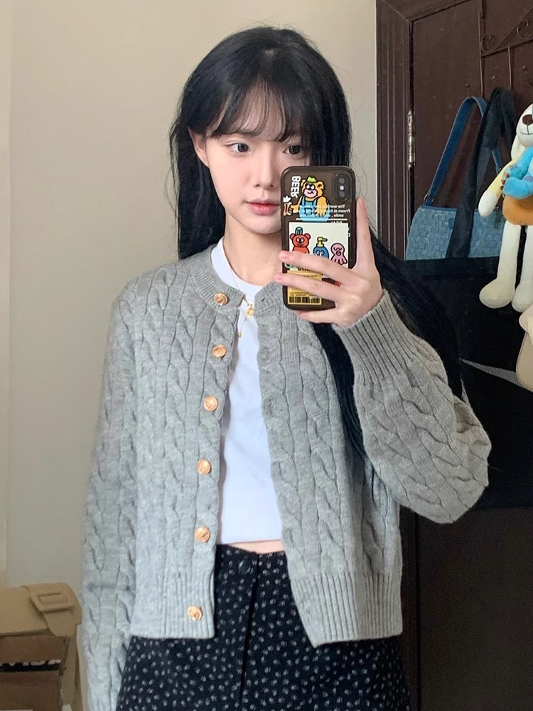 College style autumn Korean style tops all-match gray sweater