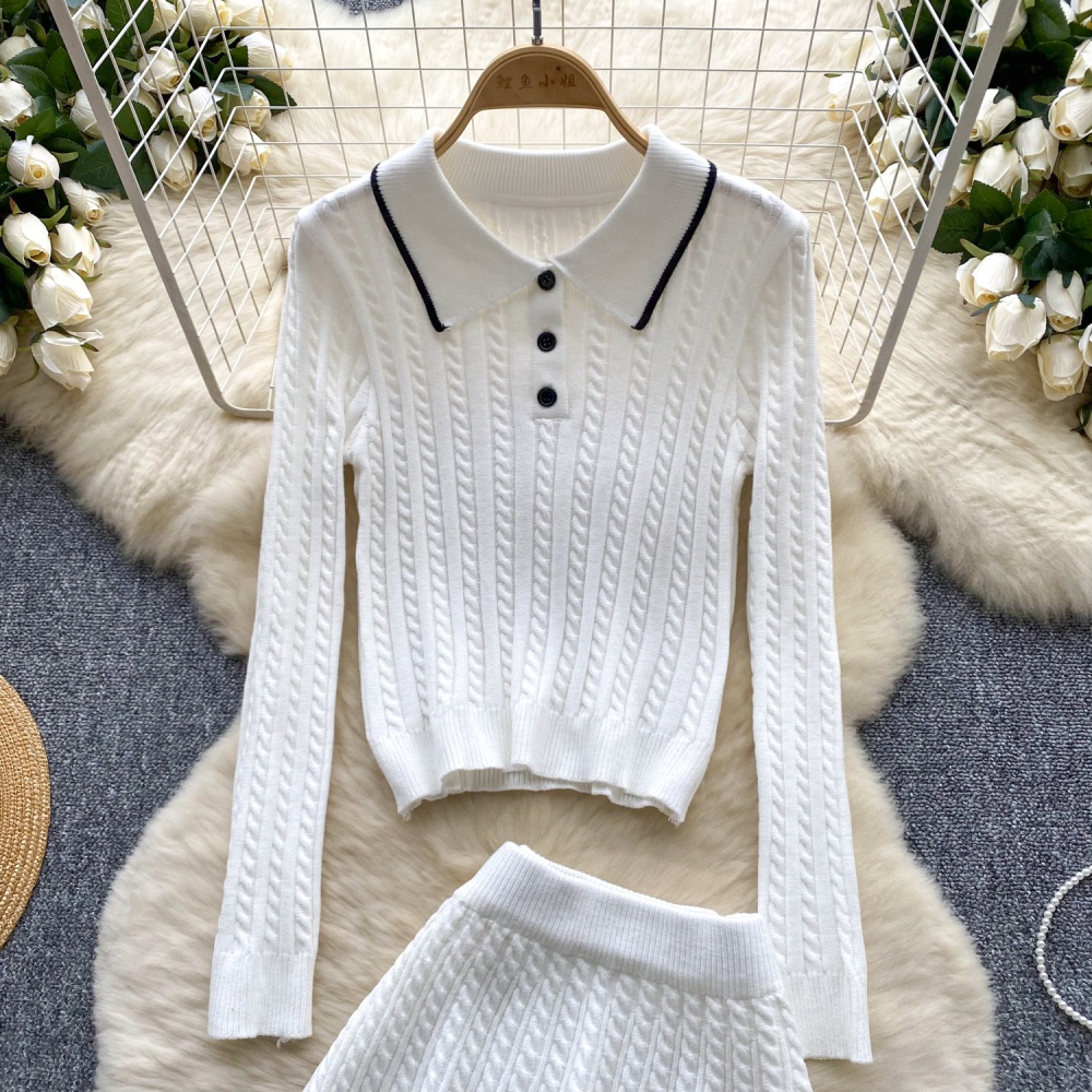 Knitted lapel sweater light luxury skirt a set