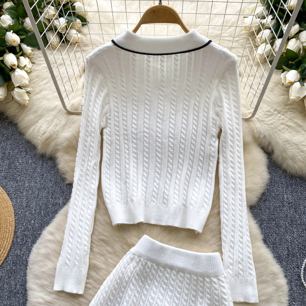 Knitted lapel sweater light luxury skirt a set