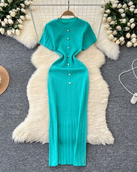 Single-breasted long dress ladies dress for women