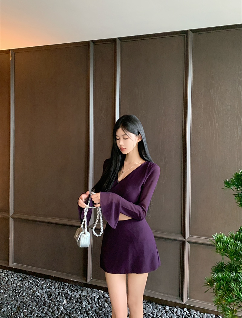 Short short skirt purple shirt 2pcs set for women