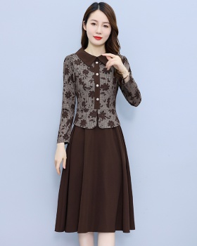 Fashion long autumn and winter dress for women