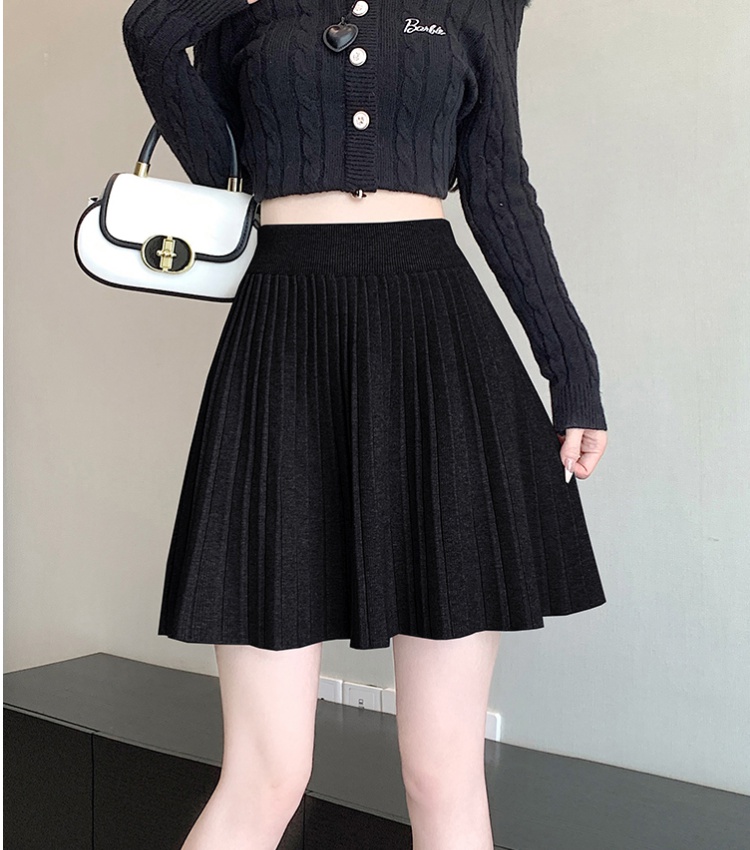 Autumn and winter A-line short skirt Korean style skirt for women