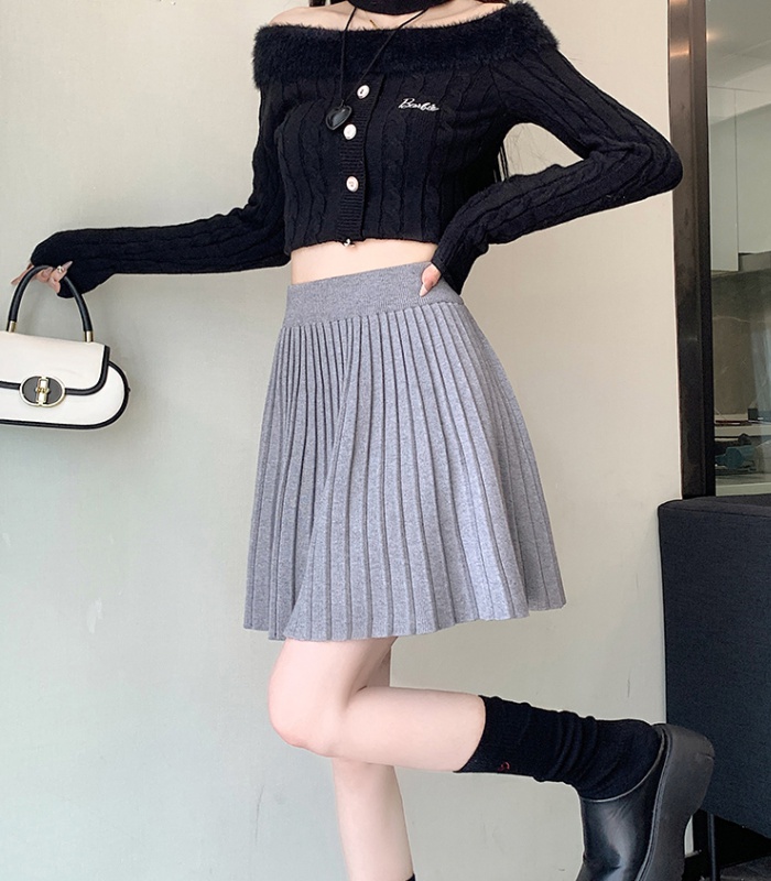 Autumn and winter A-line short skirt Korean style skirt for women